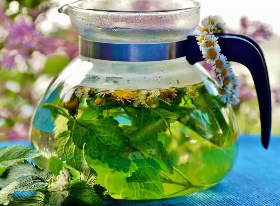 Infusion der Sammlung von Kräutern aus Krampfadern